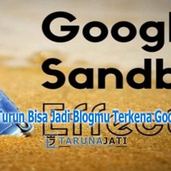 Visitor Blog Turun Bisa Jadi Blogmu Terkena Googel Sandbox Yang Tidak Kalian Ketahui