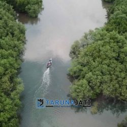 Objek Wisata Pantai Selayar dengan Keindahan Mangrovenya di Jepara